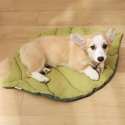 Leaf Shaped Pet Mat, 1 Count Washable Pet Bed, Pet Supplies for Small, Medium, Large & Ultra Large Dogs, Cat Stuff, Dog Stuff, Dog Bed